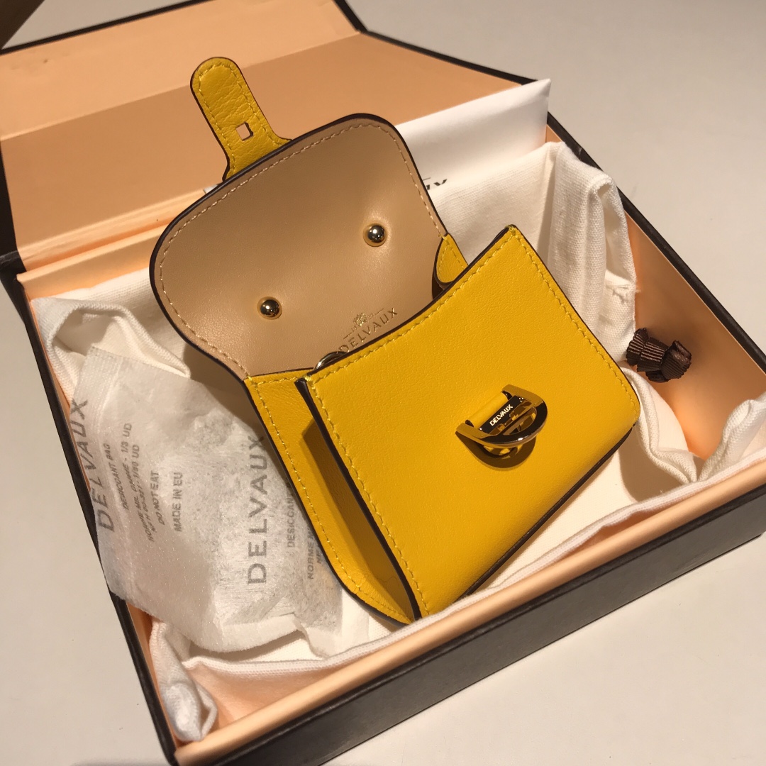 델보 브리앙 MM 박스백 미니